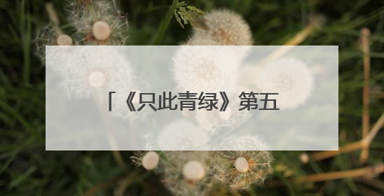 《只此青绿》第五次为宁波“淬墨”，为何仍一票难求？