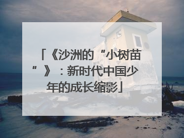 《沙洲的“小树苗”》：新时代中国少年的成长缩影
