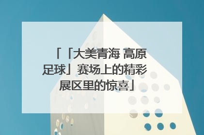 「大美青海 高原足球」赛场上的精彩 展区里的惊喜