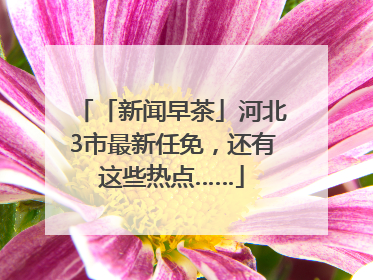 「新闻早茶」河北3市最新任免，还有这些热点……