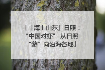 「海上山东」日照：“中国对虾” 从日照“游”向沿海各地