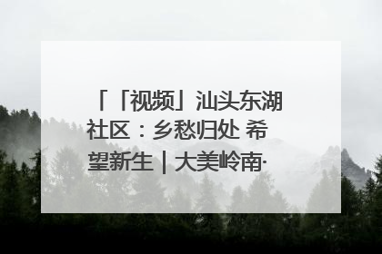 「视频」汕头东湖社区：乡愁归处 希望新生｜大美岭南·百村焕新记
