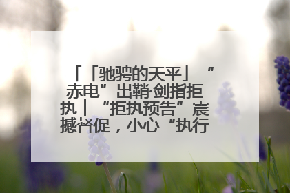 「驰骋的天平」“赤电”出鞘·剑指拒执︱“拒执预告”震撼督促，小心“执行”变“执刑”