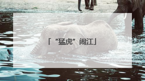 “猛虎”闹江
