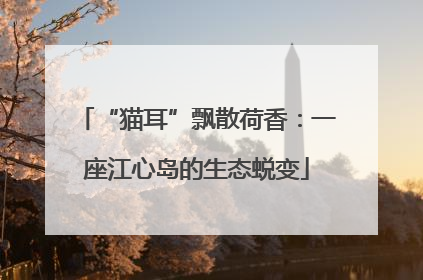 “猫耳”飘散荷香：一座江心岛的生态蜕变