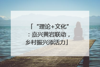“理论+文化”：嘉兴黄岩联动，乡村振兴添活力