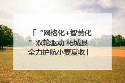 “网格化+智慧化”双轮驱动 柘城县全力护航小麦夏收