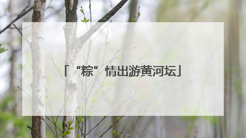 “粽”情出游黄河坛