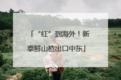 “红”到海外！新泰鲜山楂出口中东