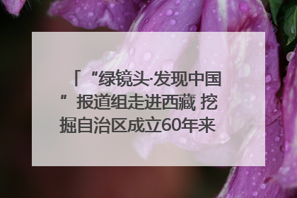 “绿镜头·发现中国”报道组走进西藏 挖掘自治区成立60年来生动气象故事