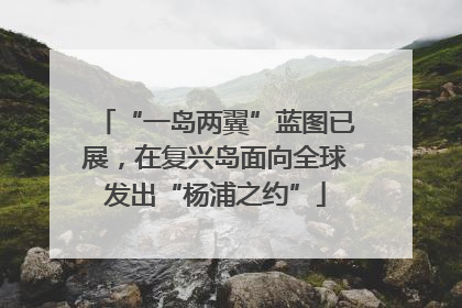 “一岛两翼”蓝图已展，在复兴岛面向全球发出“杨浦之约”