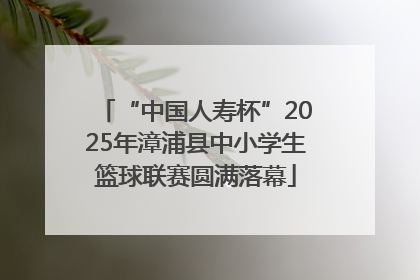 “中国人寿杯”2025年漳浦县中小学生篮球联赛圆满落幕