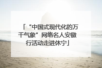 “中国式现代化的万千气象”网络名人安徽行活动走进休宁