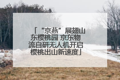 “京燕”展翅山东樱桃园 京东物流自研无人机开启樱桃出山新速度