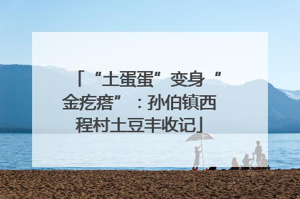 “土蛋蛋”变身“金疙瘩”：孙伯镇西程村土豆丰收记