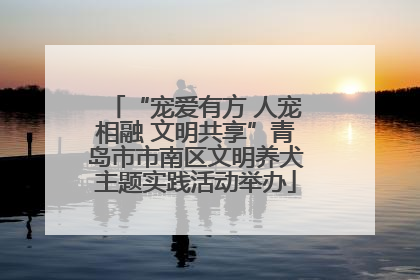 “宠爱有方 人宠相融 文明共享”青岛市市南区文明养犬主题实践活动举办