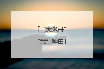 “大米哥”“慧”种田