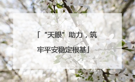 “天眼”助力，筑牢平安稳定根基