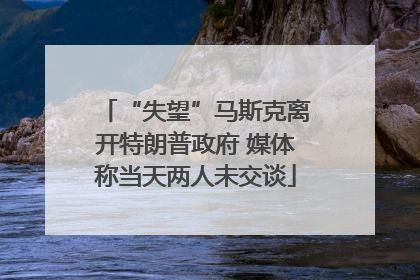 “失望”马斯克离开特朗普政府 媒体称当天两人未交谈