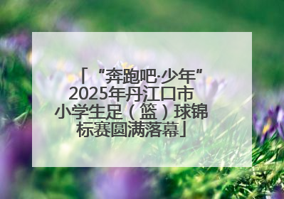 “奔跑吧·少年”2025年丹江口市小学生足（篮）球锦标赛圆满落幕