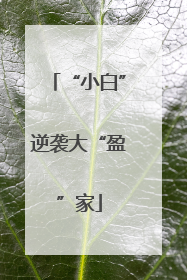 “小白”逆袭大“盈”家