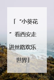 “小葵花”看西安走进丝路欢乐世界