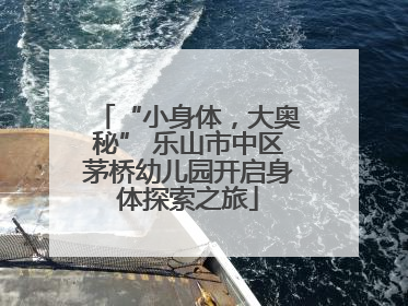 “小身体，大奥秘” 乐山市中区茅桥幼儿园开启身体探索之旅