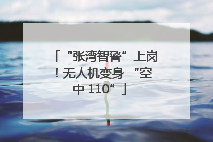 “张湾智警”上岗！无人机变身 “空中 110”