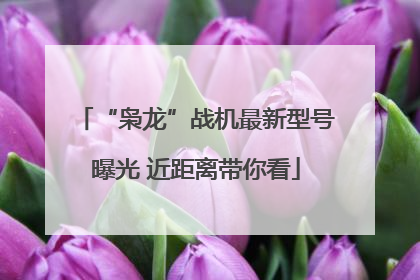 “枭龙”战机最新型号曝光 近距离带你看