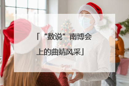 “数说”南博会上的曲靖风采