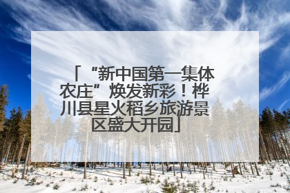 “新中国第一集体农庄”焕发新彩！桦川县星火稻乡旅游景区盛大开园
