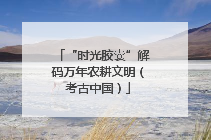 “时光胶囊”解码万年农耕文明（考古中国）