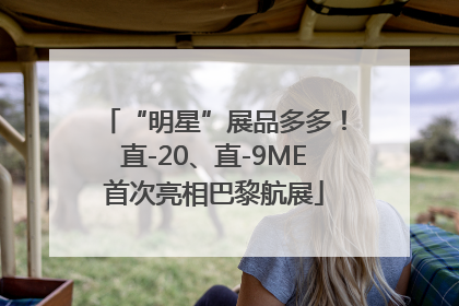 “明星”展品多多！直-20、直-9ME首次亮相巴黎航展