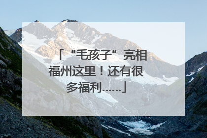“毛孩子”亮相福州这里！还有很多福利……