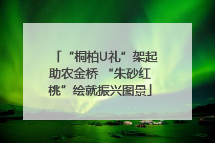“桐柏U礼”架起助农金桥 “朱砂红桃”绘就振兴图景