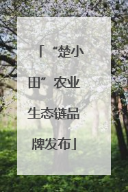 “楚小田”农业生态链品牌发布