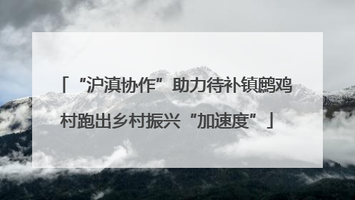“沪滇协作”助力待补镇鹧鸡村跑出乡村振兴“加速度”