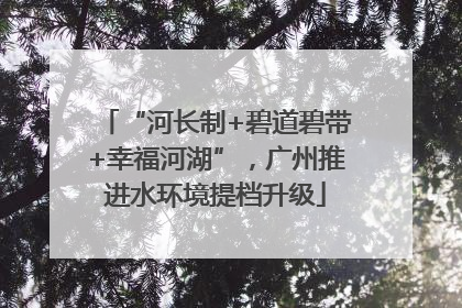 “河长制+碧道碧带+幸福河湖”，广州推进水环境提档升级