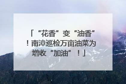 “花香”变“油香”！南漳巡检万亩油菜为增收“加油”！