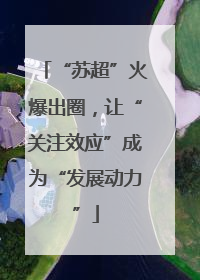 “苏超”火爆出圈，让“关注效应”成为“发展动力”