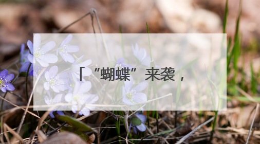 “蝴蝶”来袭，这些地方有暴雨！长沙最高温度将回升至36℃