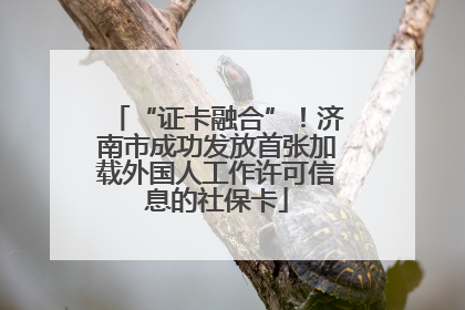 “证卡融合”！济南市成功发放首张加载外国人工作许可信息的社保卡