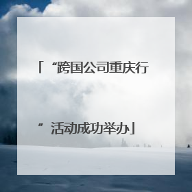 “跨国公司重庆行”活动成功举办