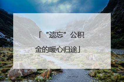 “遗忘”公积金的暖心归途