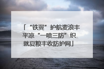 “铁翼”护航麦浪丰 平凉“一喷三防”织就夏粮丰收防护网