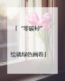 “零碳村” 绘就绿色画卷