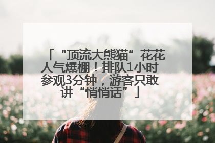 “顶流大熊猫”花花人气爆棚！排队1小时参观3分钟，游客只敢讲“悄悄话”