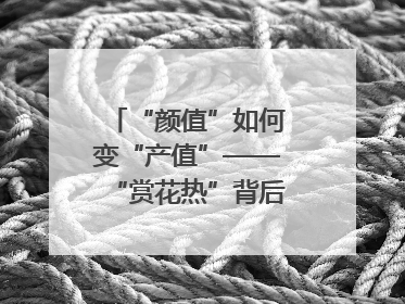 “颜值”如何变“产值”——“赏花热”背后的产业图谱