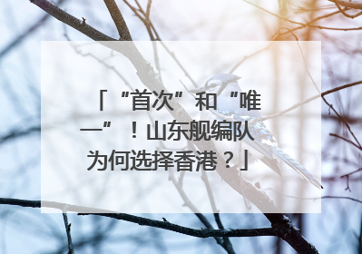 “首次”和“唯一”！山东舰编队为何选择香港？