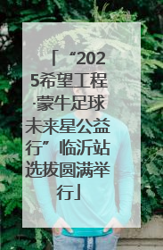 “2025希望工程·蒙牛足球未来星公益行”临沂站选拔圆满举行